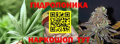 ECSTASY Нарткала