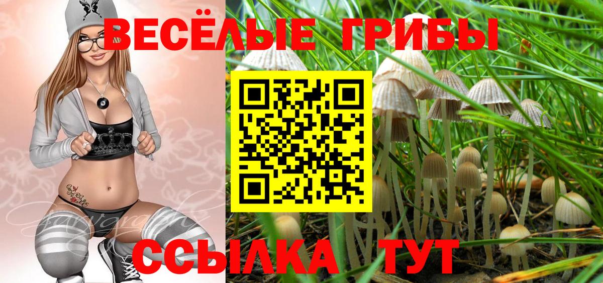 Псилоцибиновые грибы Cubensis Электросталь